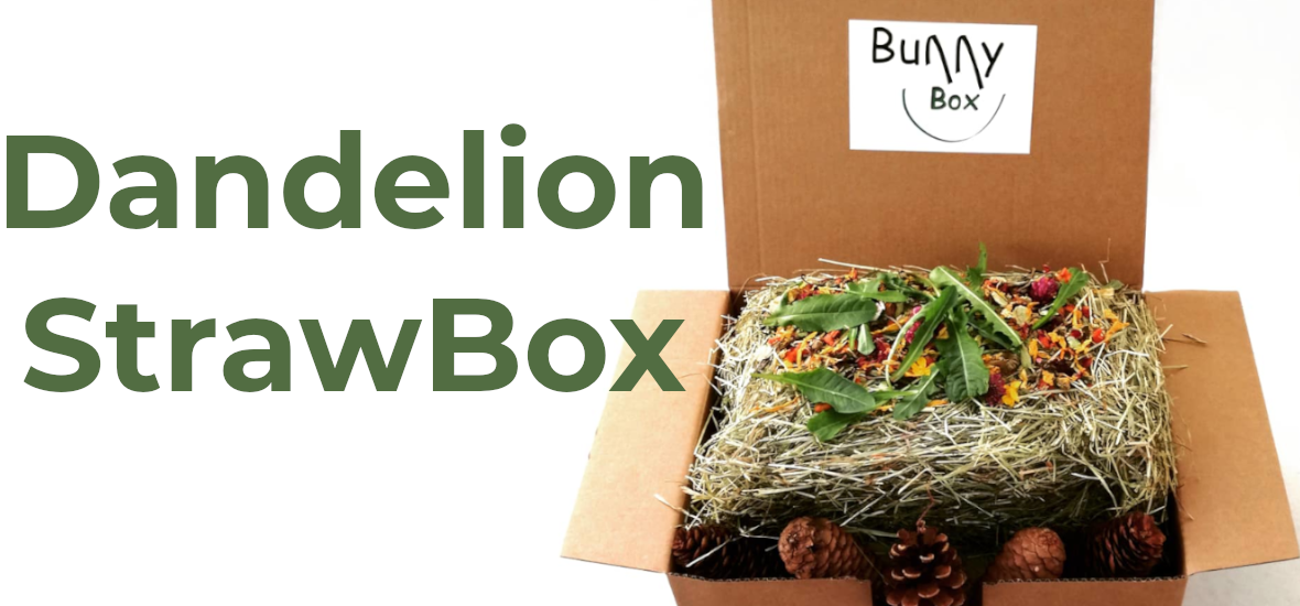 DandelionStrawBox