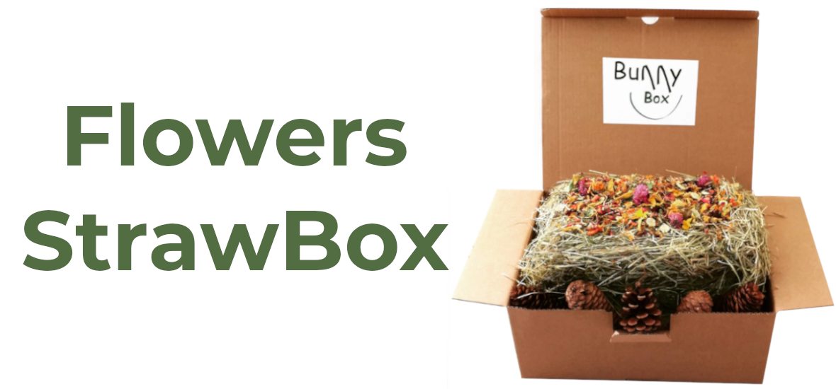 FlowersStrawBox